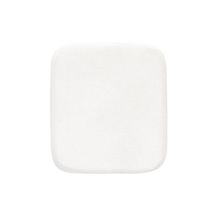 PAOLO GUATELLI FOUNDATION SPONGE