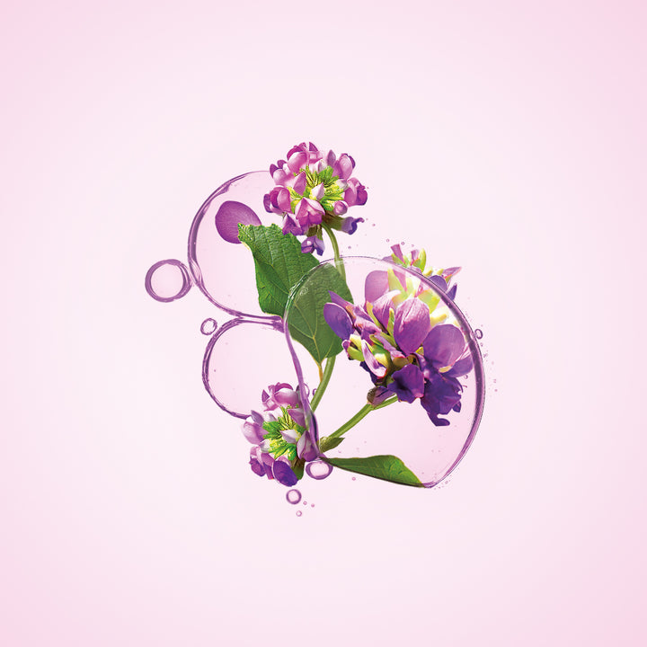 Billedet viser bakuchiol planten der er en ingrediens i Ainhoa Phyto Retin+ Mask: Kraftfuld anti-age maske med bakuchiol, baobabolie og tranebærekstrakt. Forbedrer elasticitet og hudtone.