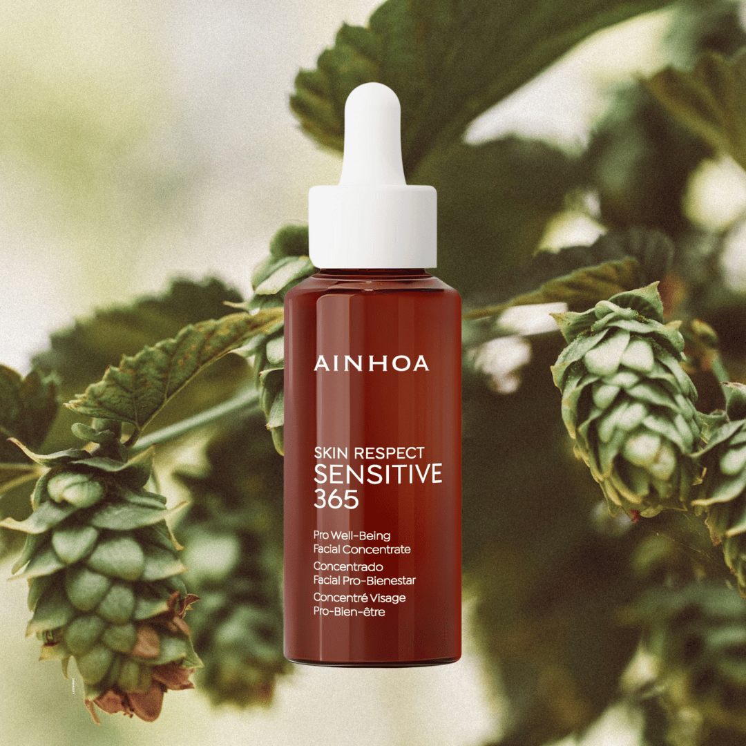på billedet ses Ainhoa Koncentrat til Sensitiv Hud på en baggrund af humle plantet. Serum koncentratet er parfumefri formel, optimal pleje til intolerant hud. Ainhoa Sensitive 365 Professional Concentrate med postbiotika og naturlige ingredienser.
