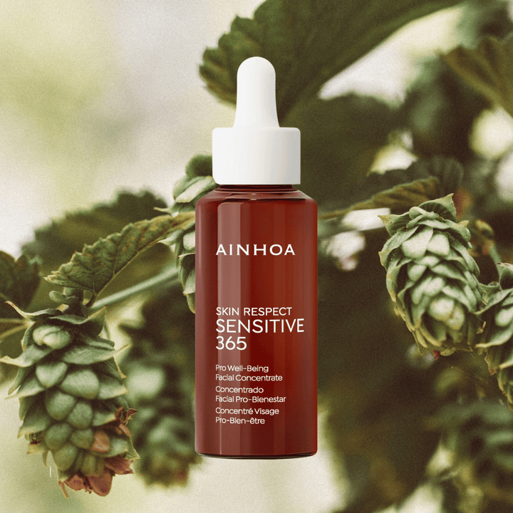 på billedet ses Ainhoa Koncentrat til Sensitiv Hud på en baggrund af humle plantet. Serum koncentratet er parfumefri formel, optimal pleje til intolerant hud. Ainhoa Sensitive 365 Professional Concentrate med postbiotika og naturlige ingredienser.