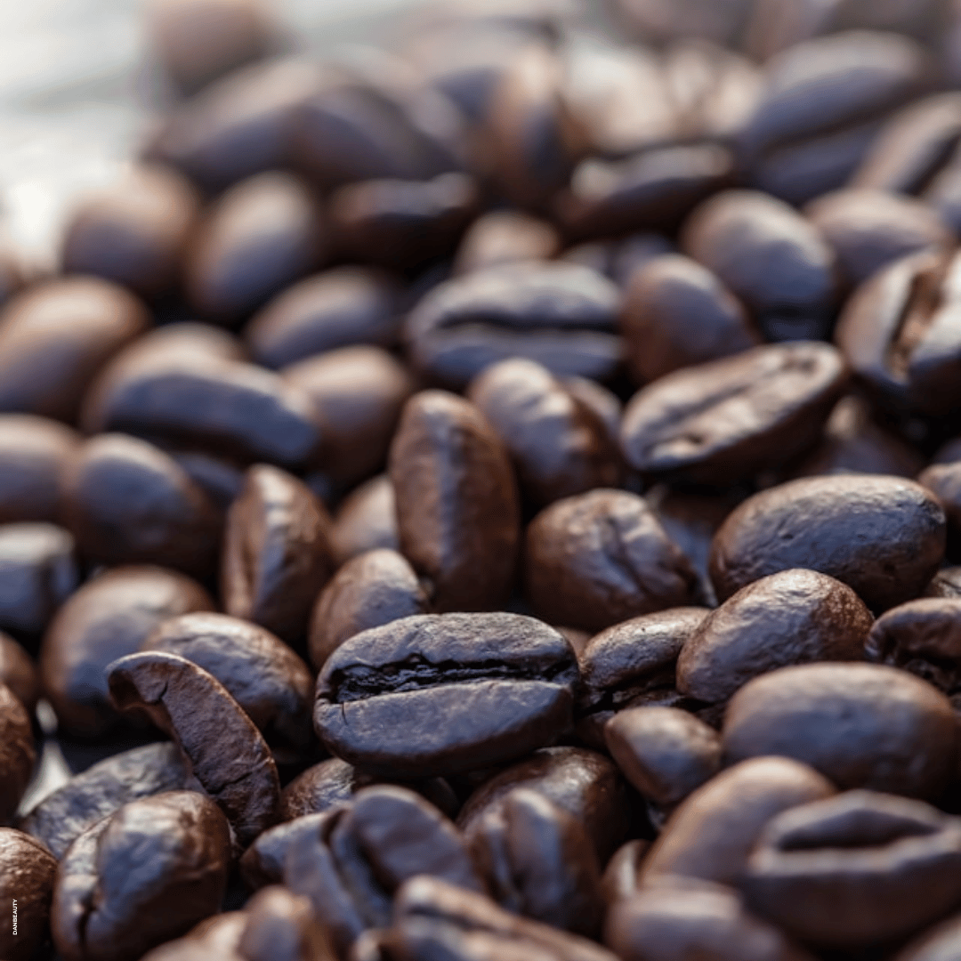 Kaffebønner, ingrediens i Ainhoa Anti-Cellulite Gel: Avanceret formel med Bodyfit™ og indkapslet koffein. Forbedrer hudstruktur og fasthed. Synligt glattere hud.