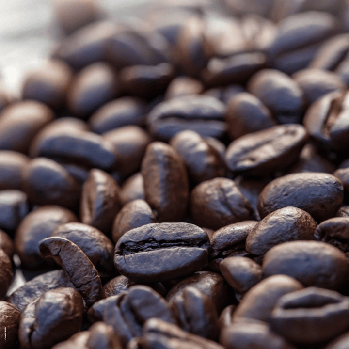 Kaffebønner, ingrediens i Ainhoa Anti-Cellulite Gel: Avanceret formel med Bodyfit™ og indkapslet koffein. Forbedrer hudstruktur og fasthed. Synligt glattere hud.