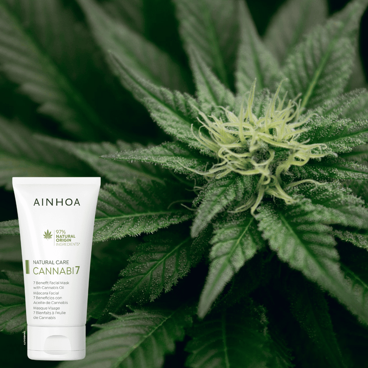 Billedet viser en hamp plante i baggrunden og i forgrunden ses det veganske hudplejeprodukt CANNABI7 - 7 BENEFIT FACIAL MASK WITH CANNABIS OIL fra Ainhoa Brand