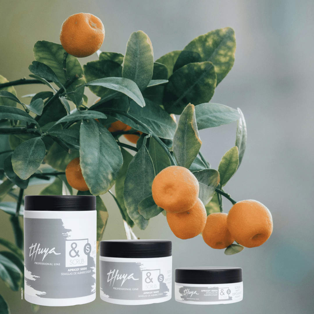 SOFT SCRUB APRICOT SEEDS