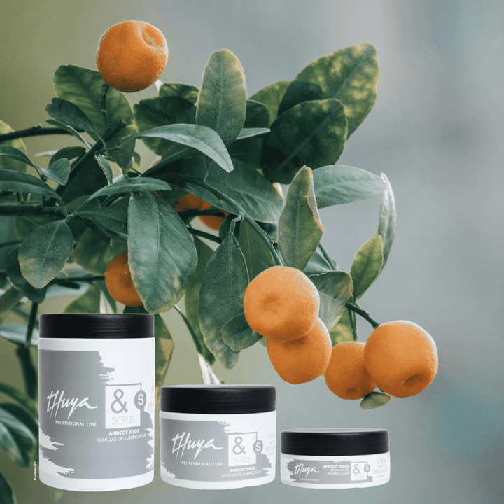 SOFT SCRUB APRICOT SEEDS