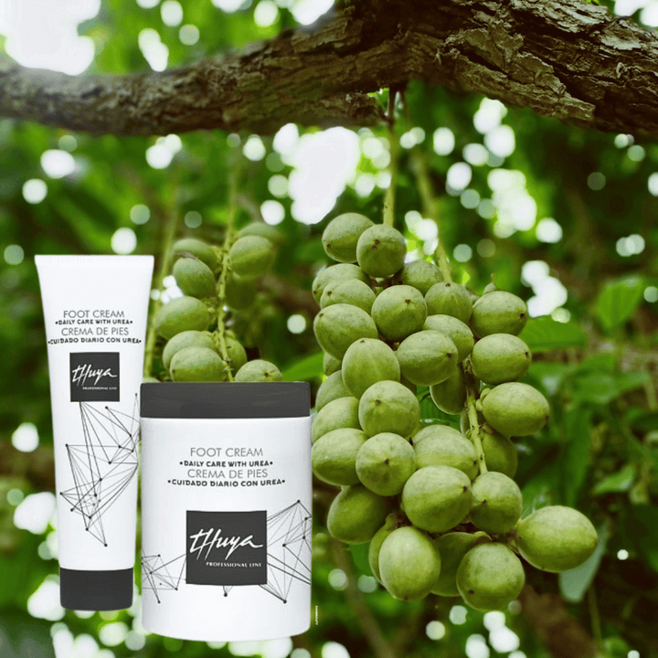 FOOT CREAM DAILY CARE WITH UREA
