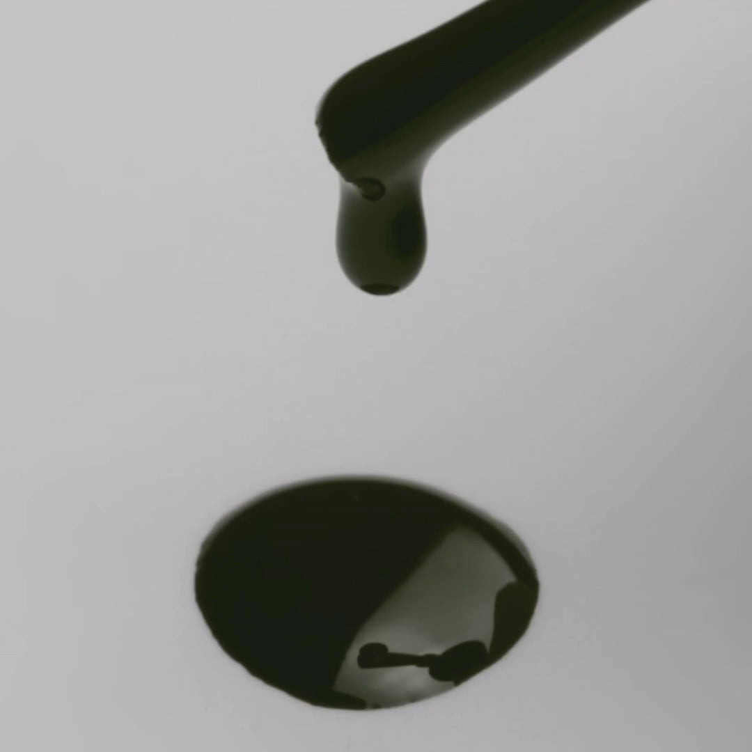 THUYA GELLAK - BLACK GREEN